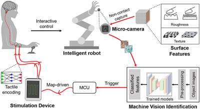 Object surface roughness/texture recognition using machine vision enables for human-machine haptic interaction